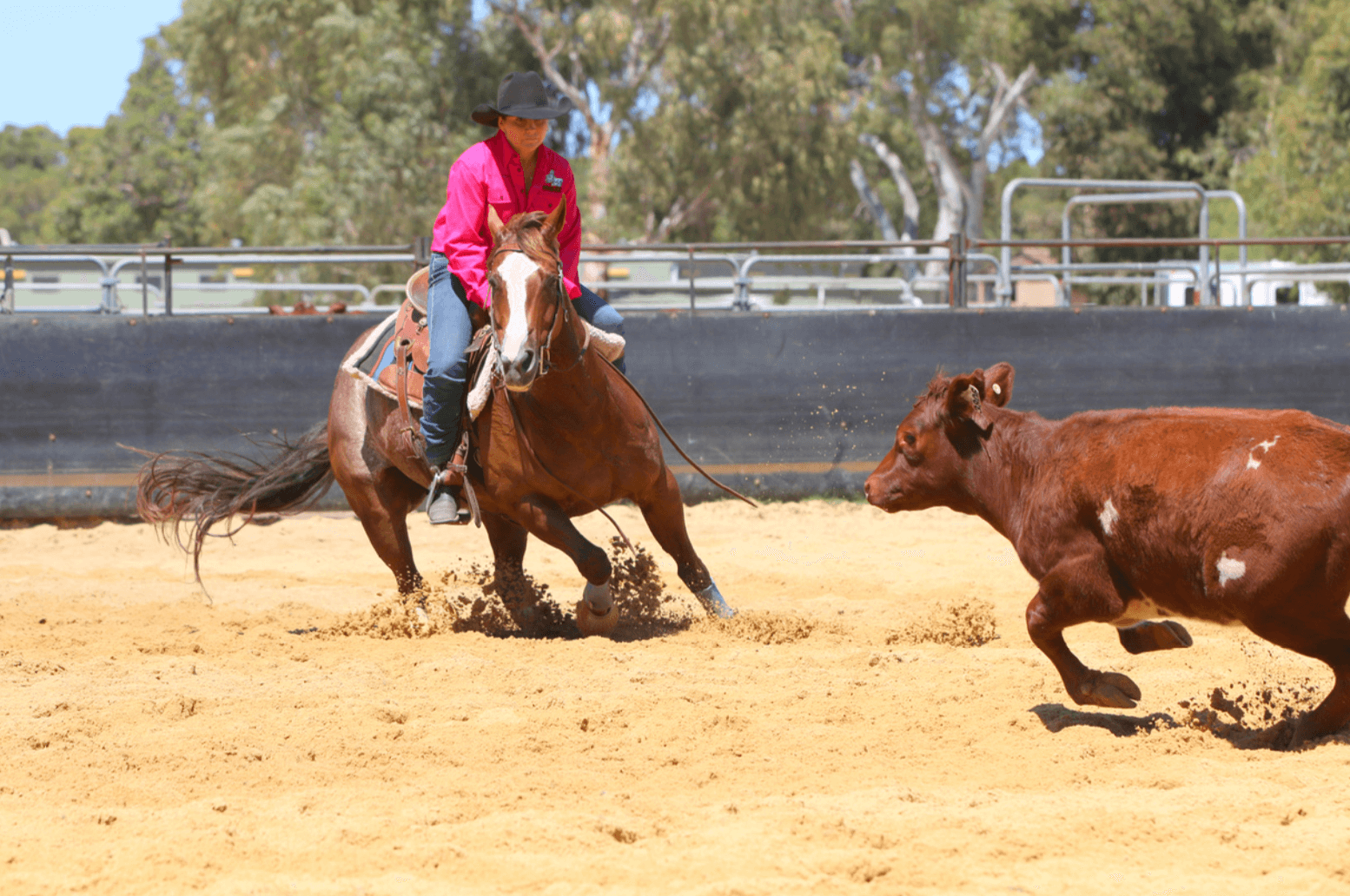 Coolup cutting riders go pink for charity!